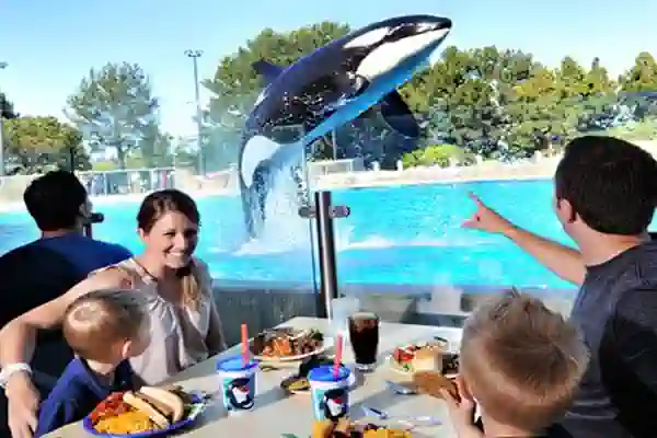 dine with orcas seaworld orlando