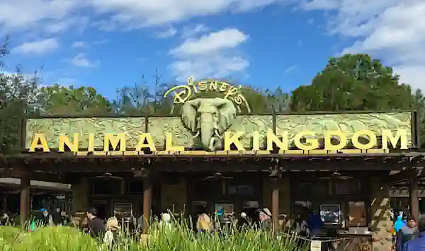 Entrada Animal Kingdom en Disney World Orlando