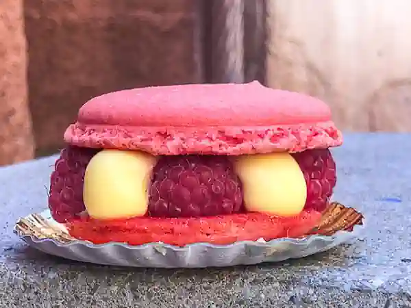 macaroon raspberry les halles boulangerie disney
